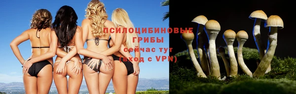 спиды Ростов