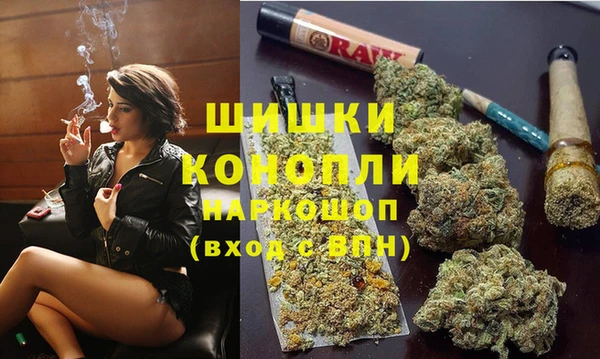 дживик Россошь