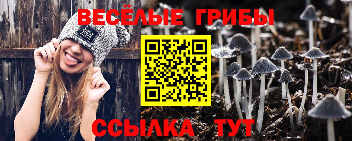 Псилоцибиновые грибы GOLDEN TEACHER Отрадный